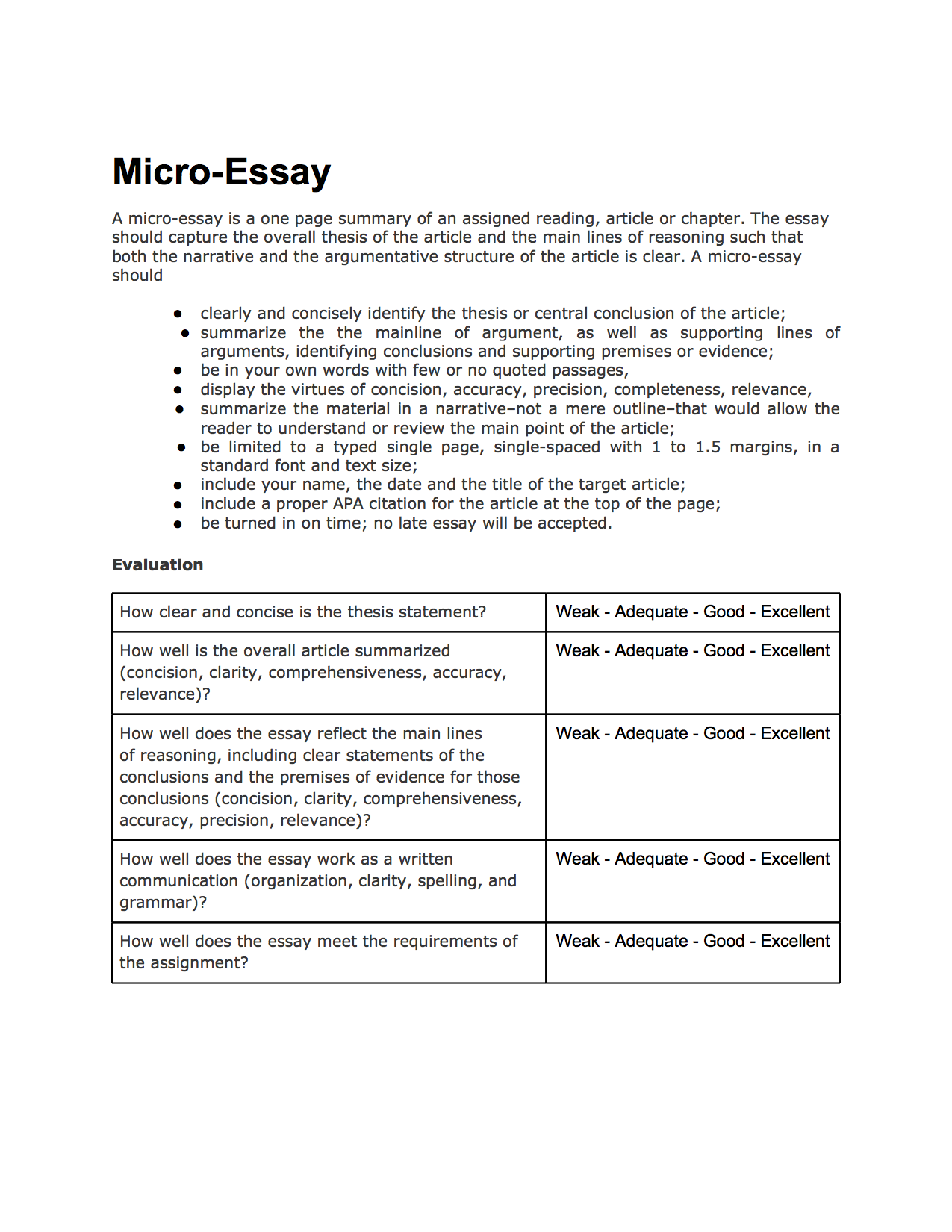 essay summary format